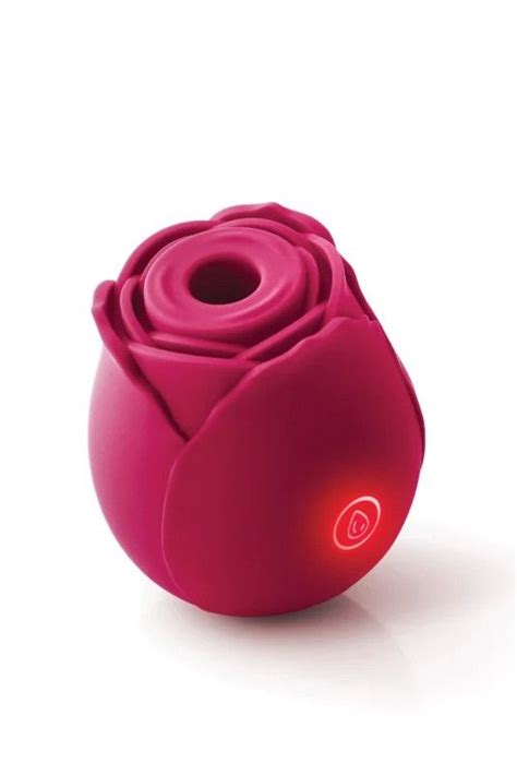 the rose viber|17 Best Vibrators of 2024, According to Sex Experts。